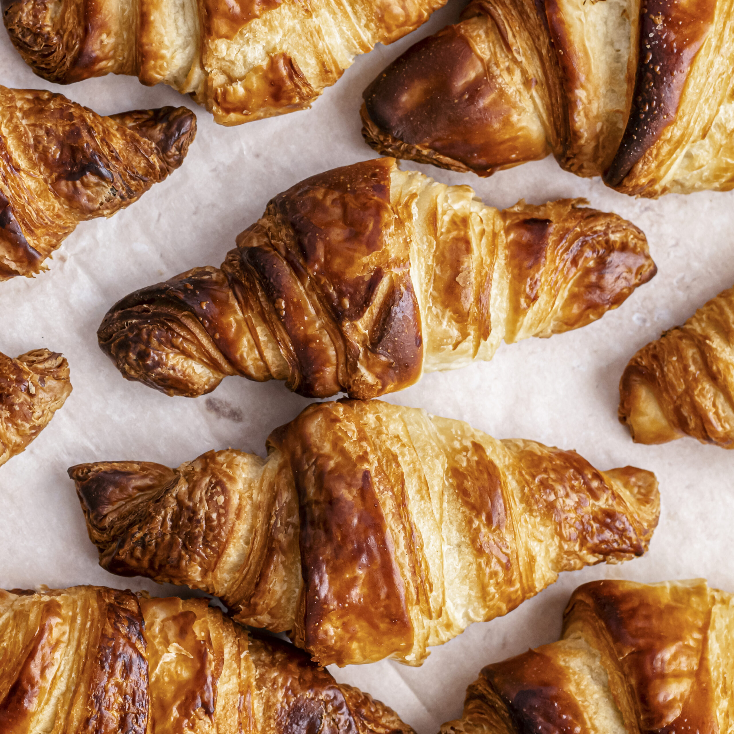 Boulangerie du champ au fournil